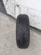 Bridgestone Winter Radial WT-17. ������, ����������, �/�, ����� 15 % ����