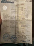 Hino Profia ����