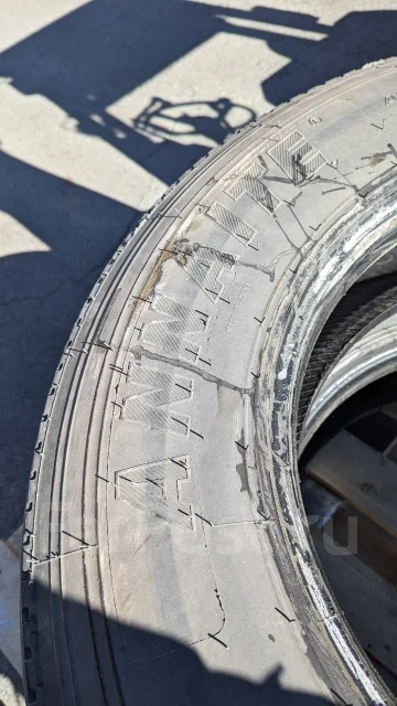 Annaite 600. ������, 2024 ���, �/�, ����� 40 % ����