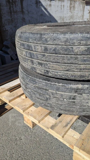 Annaite 600. ������, 2024 ���, �/�, ����� 40 % ����