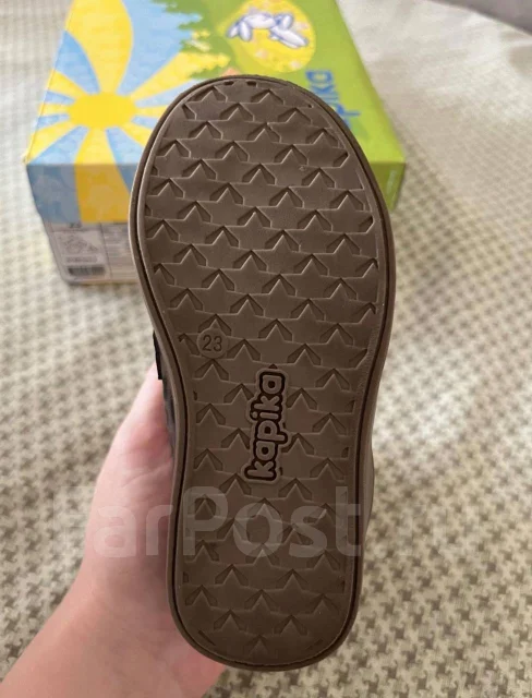 �������. 23 ����