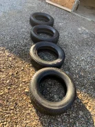 Bridgestone Blizzak DM-V2. ������, ��� �����, 2019 ���, �/�, ����� �� 5 % ����
