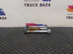 �������� ������ ���������� ����� [1243067] ��� Daf XF105, Daf XF106 [���. 121458-1] 1243067 ����