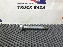 ���� ��������� ��������� [1243064] ��� Daf XF106 [���. 122220] 1243064 ����