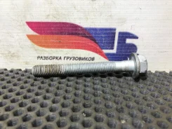 ���� ��������� ��������� [1243064] ��� Daf XF106 [���. 122220-4] 1243064 ����