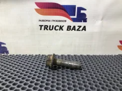 ���� ���������� ���� [1243058] ��� Daf XF105 [���. 124009] 1243058 ����