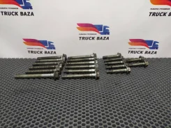 �������� ������ ������� �������� [1243062] ��� Daf XF106 [���. 129731] 1243062 ����