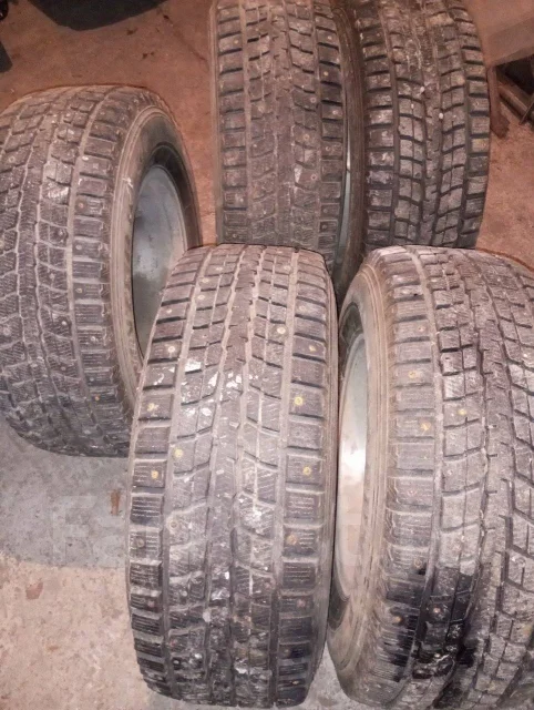 Dunlop Winter Maxx. ������, ����������, �/�, ����� 10 % ����