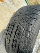 Winter Tact. ������, ��� �����, 2018 ���, �/�, ����� 25 % ����