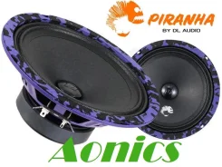 DL Audio ����