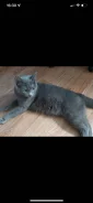 �����. ����
