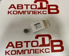 ������ �����-��������� Delphi DAF (CF75, CF85, XF105) ��� ��� Paccar MX 7206-0460 72060460 ����