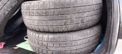 Presa PI02. ������, ��� �����, 2019 ���, �/�, ����� 70 % ����