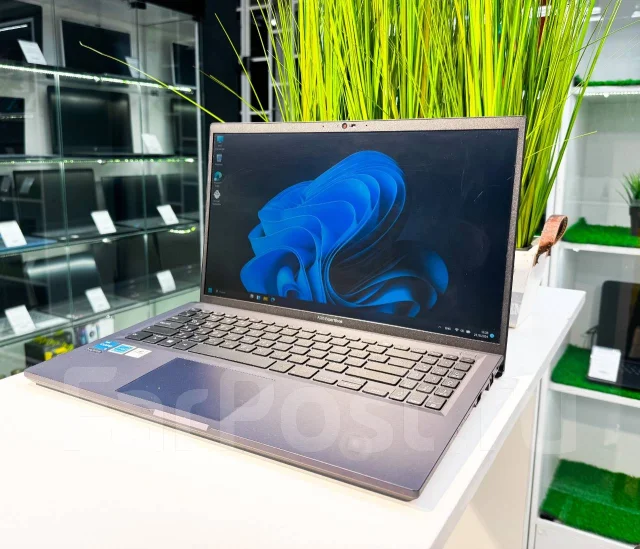 Asus ExpertBook ����