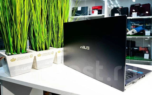 Asus ExpertBook ����