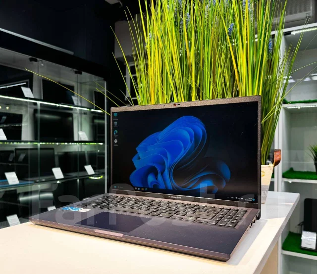 Asus ExpertBook ����