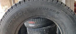 Dunlop DSV-01. ������, ��� �����, �/�, ����� 5 % ����