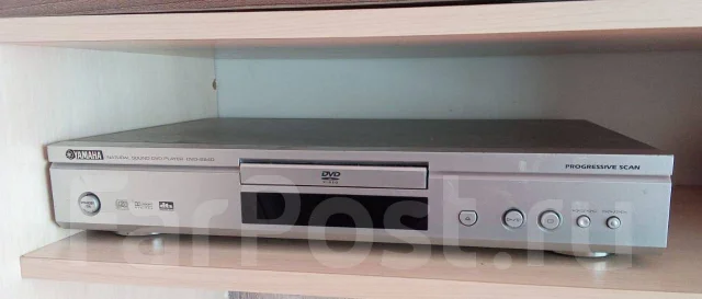 DVD ������. ����