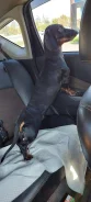 �����. ����