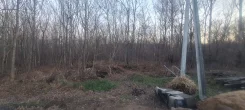 ������ ��������� ������� � ���� �������� �����. 14.1����., ���, �������������, ������������� ����