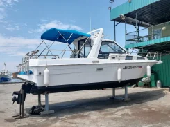 Yamaha FR-27. 1993 ���, ����� 9��., ��������� ������������, 250��.�., ������ ����