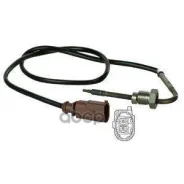 ������ Delphi ���. TS30040 TS30040 ����