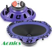 DL Audio ����