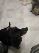 �����. ����