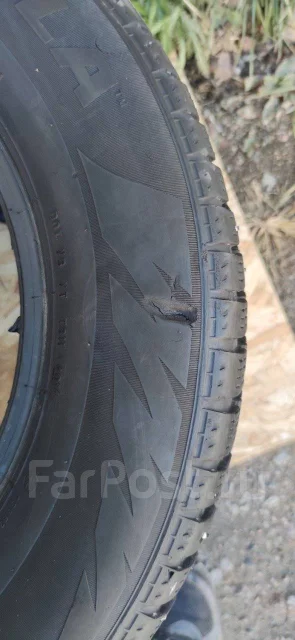 Formula Winter. ������, ����������, 2014 ���, �/�, ����� 50 % ����