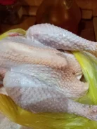 ����. ����
