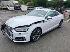 Audi S5. WAUZZZF55JA019981, CWG ����