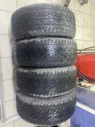 WinRun. ������, 2023 ���, �/�, ����� 50 % ����