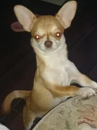 ��������. ����