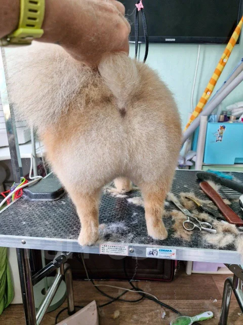 �������. ����