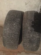 Pirelli Winter Carving. ������, ��� �����, �/�, ����� 30�%. �������� ������� ����