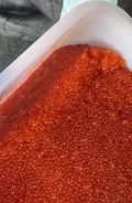 ���� �������. ����