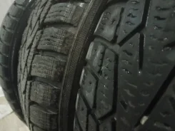 Nordman 2. ������, ��� �����, �/�, ����� 45 % ����
