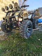 Grizzly. ��������, ��� ���\���, �� ����