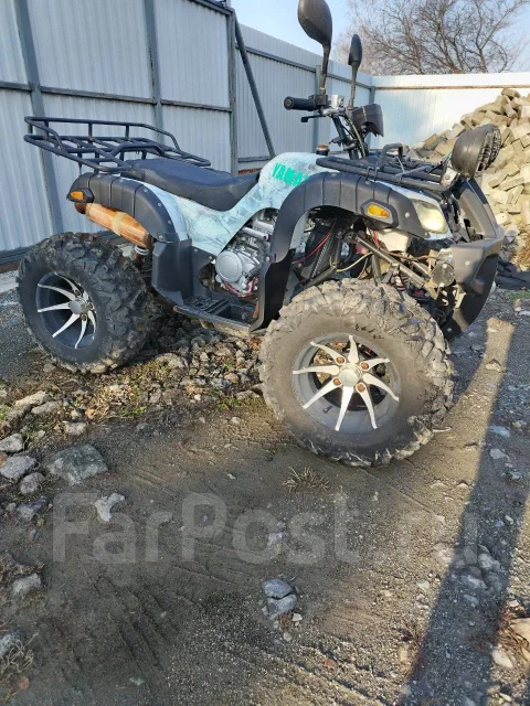 Grizzly. ��������, ��� ���\���, �� ����