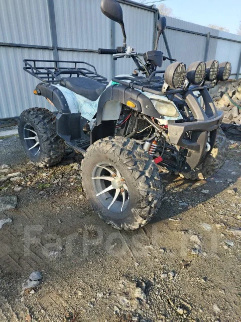 Grizzly. ��������, ��� ���\���, �� ����