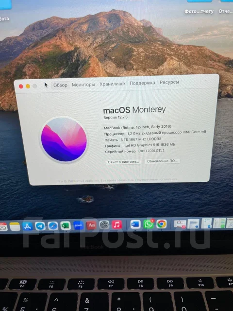 Apple MacBook 12 2016 Early. 12", 1,2����, ��� 8 ��, ���� 512���, WiFi: 1, Bluetooth: 1, ����������� �� 8��. ����