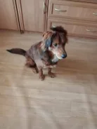 ������. ����