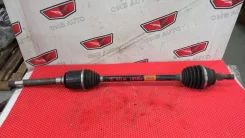 ������ �������� ������ �������� W164 ML A1643302401 ����