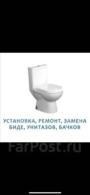 ����������. ����