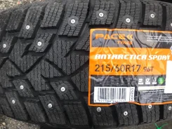Zeta Antarctica Sport. ������, ����������, 2026 ���, ����� ����