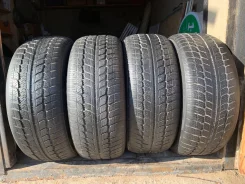Fortuna Winter. ������, ��� �����, 2011 ���, �/�, ����� 60 % ����