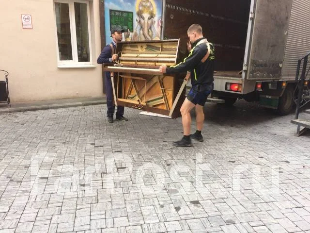 ������������, �������-����������. ����