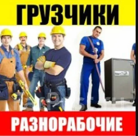 ������� ������������ �� ��������������� ���������� ���������� ����