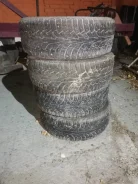 Nordman 5. ������, ��� ����, 2017 ���, �/�, ����� 50�% ����
