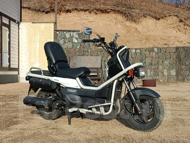 Honda PS 250 Big Ruckus, 2004, 250 куб. см. 4х тактный, без пробега ...